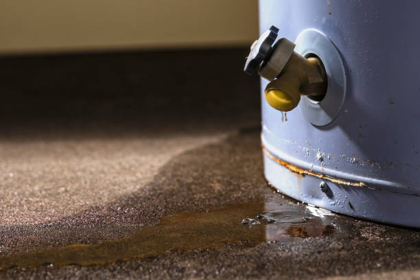 Best Commercial water damage restoration  in Bonadelle Ranchos, CA