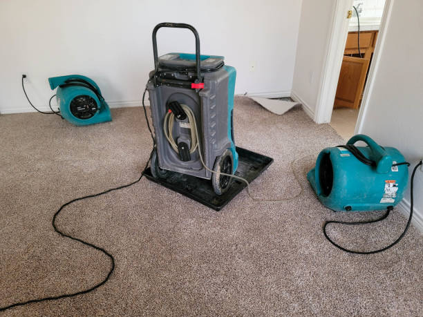 Best Water damage restoration company  in Bonadelle Ranchos, CA
