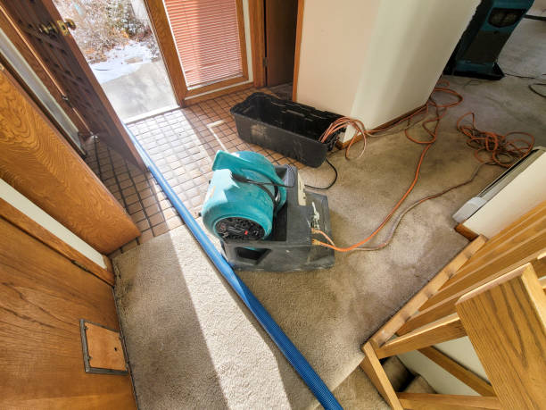  Bonadelle Ranchos, CA Water damage restoration Pros