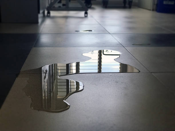Best Water damage restoration near me  in Bonadelle Ranchos, CA