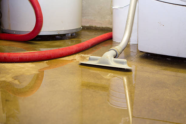 Best Water damage contractors near me  in Bonadelle Ranchos, CA