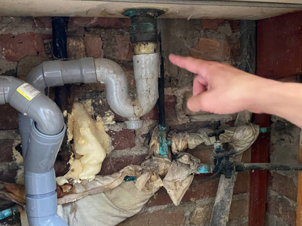 Best Professional water damage repair  in Bonadelle Ranchos, CA