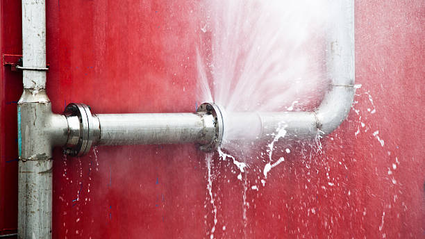 Best Water damage cleanup near me  in Bonadelle Ranchos, CA