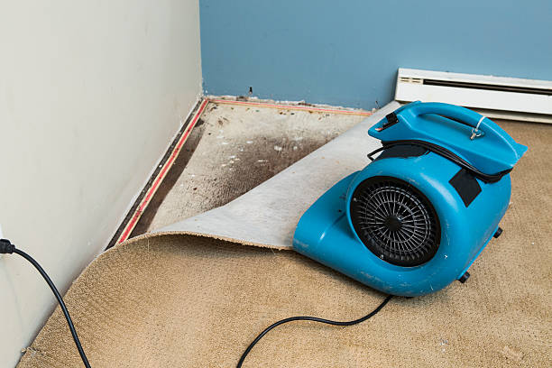Best Flood damage cleanup  in Bonadelle Ranchos, CA